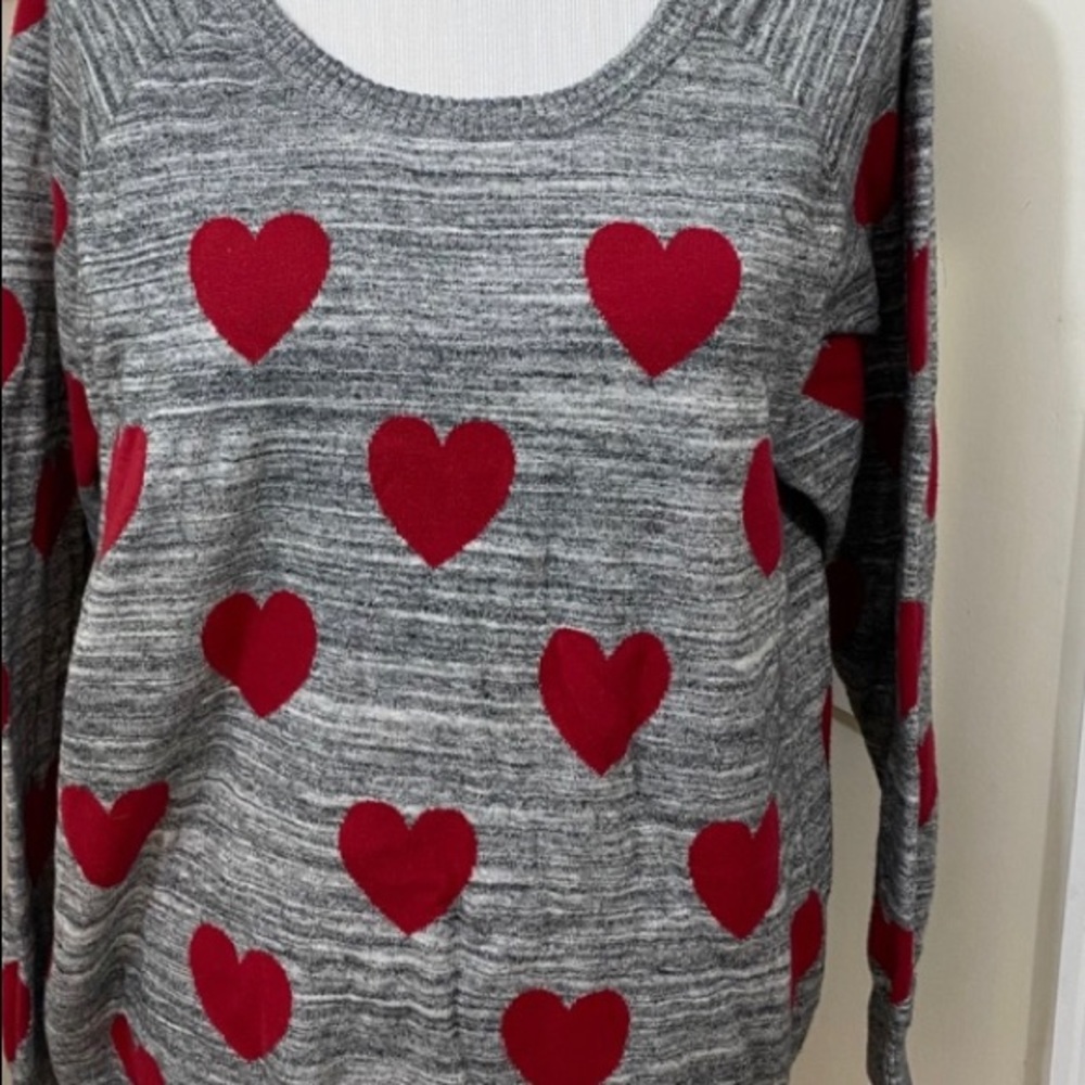 Torrid crew neck sweater